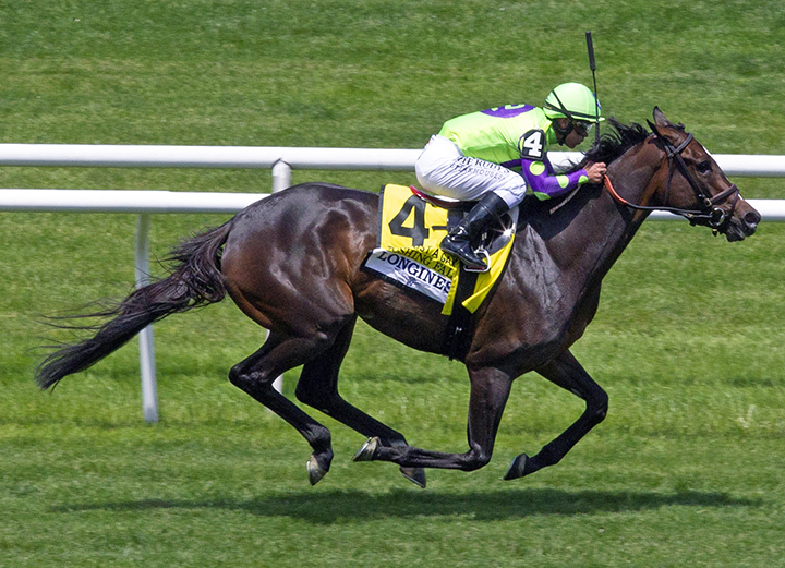 Rushing Fall wins the 2019 Just a Game Stakes