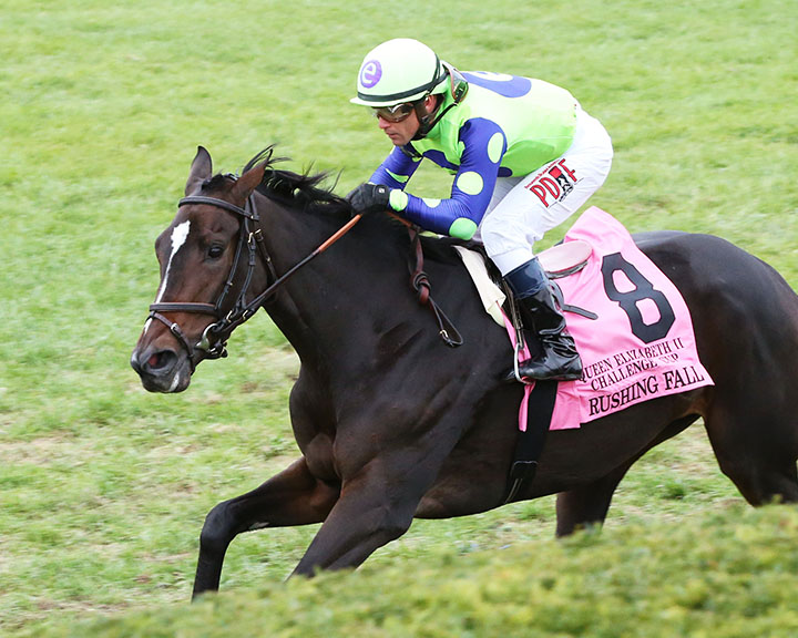 Rushing Fall - Eclipse Awards 2018
