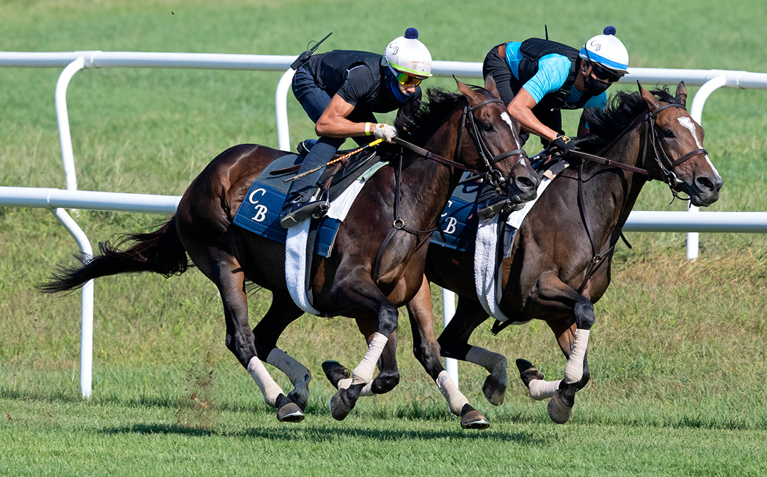 Rushing Fall (left) and Sistercharlie train at Saratoga on Aug. 16