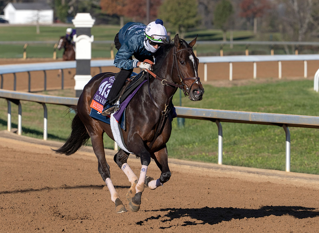 Rushing Fall trains at Keeneland Racecourse on Nov. 4