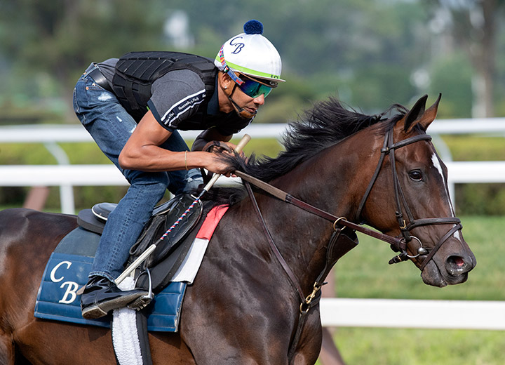 Rushing Fall trains at Saratoga on July 11