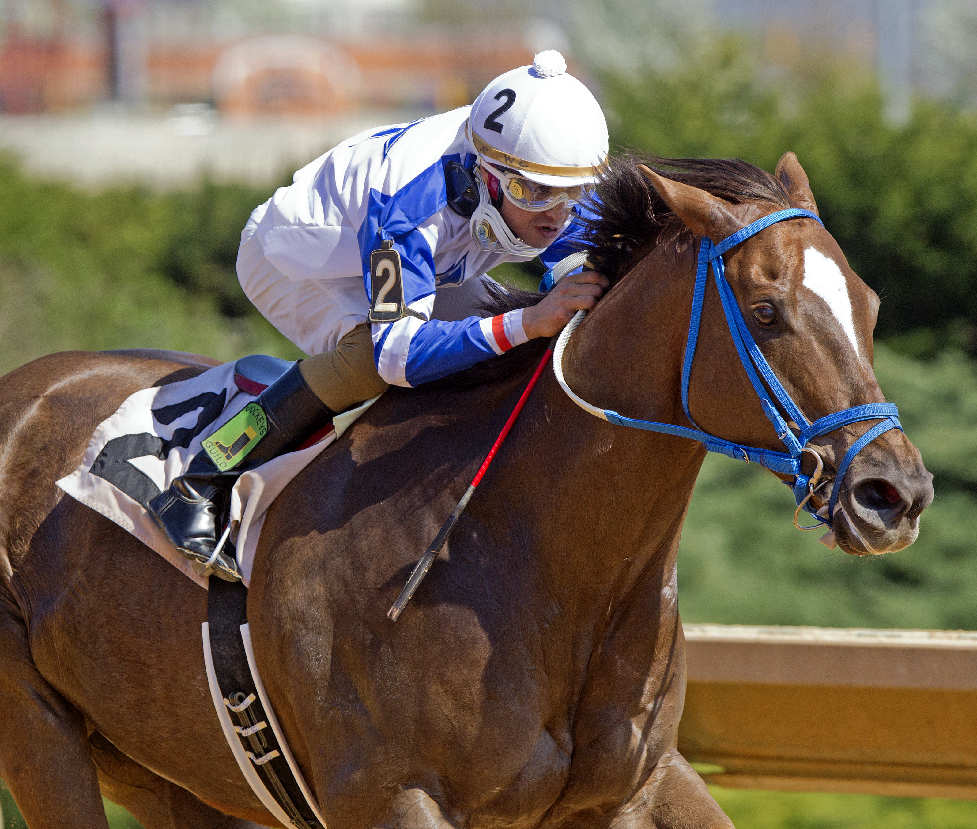 Russell Road wins 2015 Confucius Say