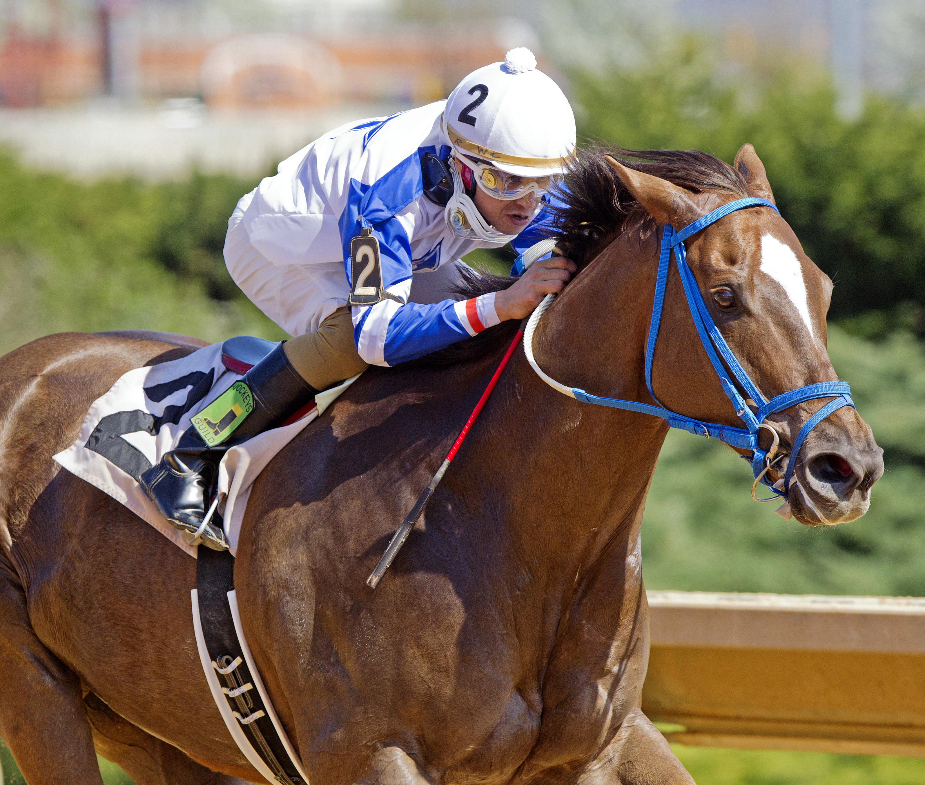 Russell Road wins the Confucius Say Stakes