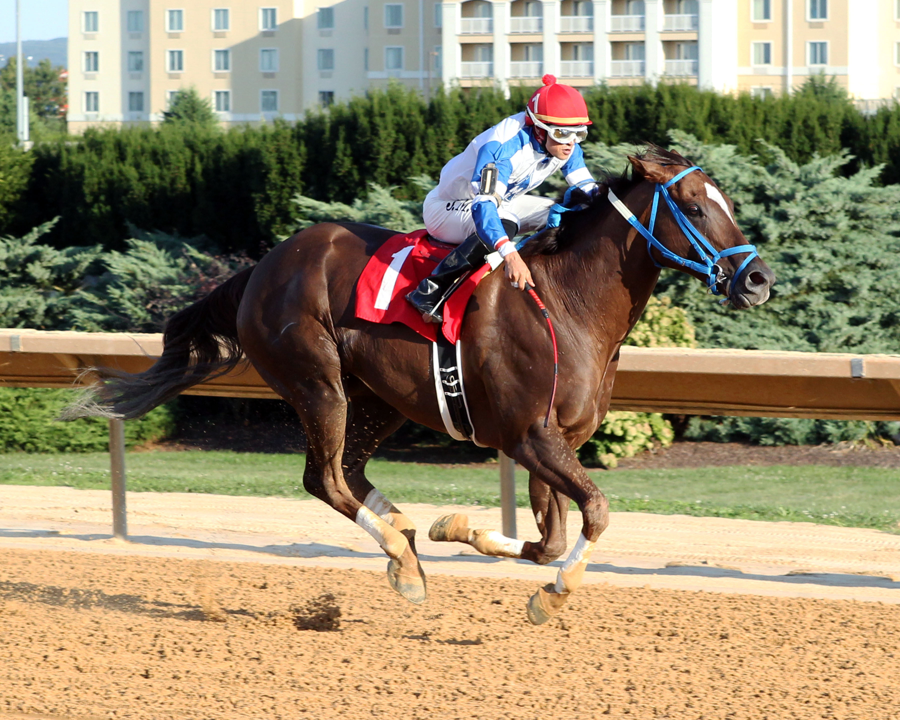 Russell Road wins the Roger Ramey Handicap
