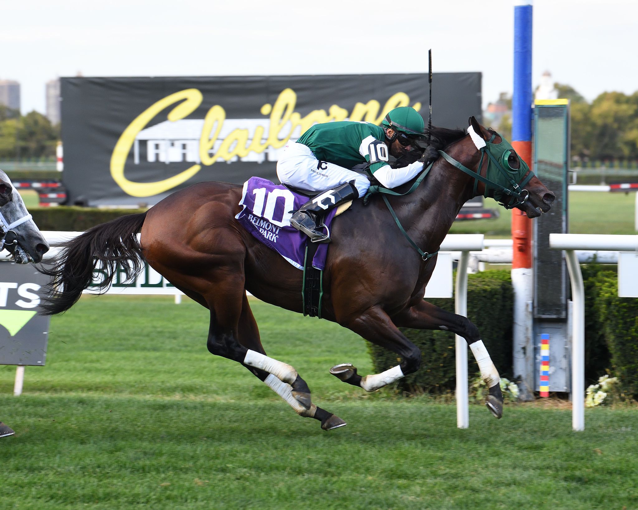 Rustler - Carle Place S. 2021
