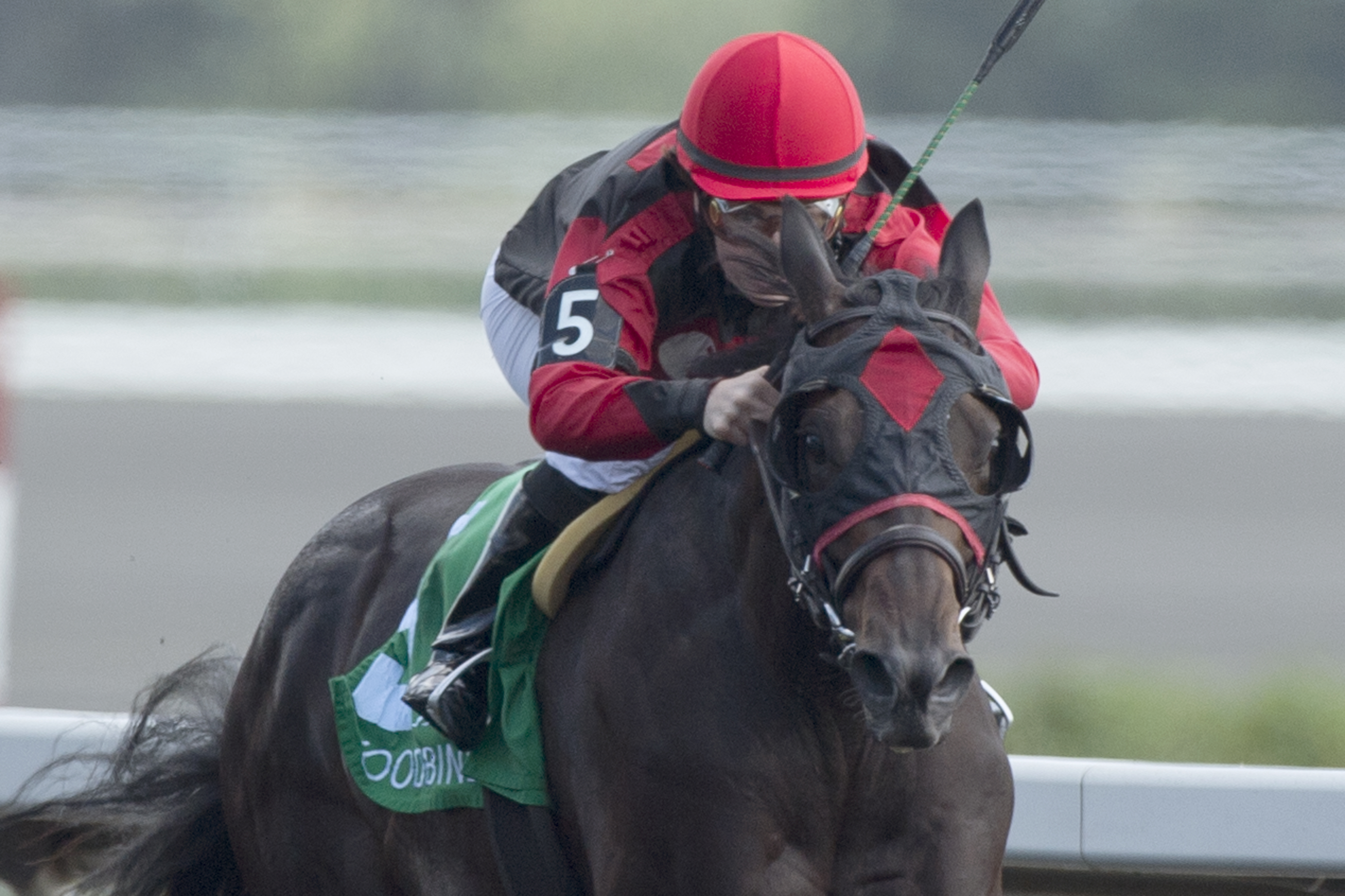 Ruth Less Blue wins 2015 Vandal
