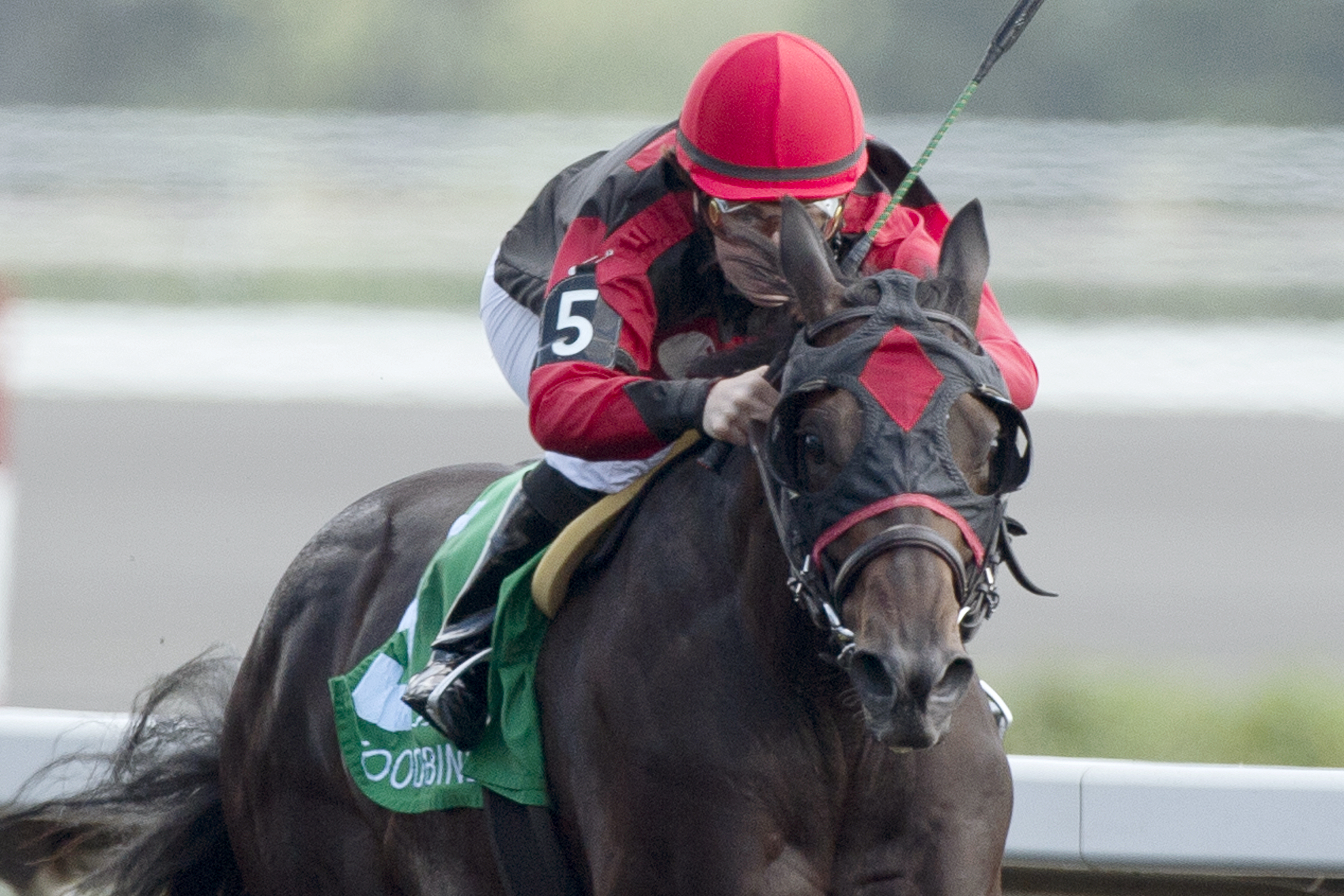 Ruth Less Blue wins the Vandal