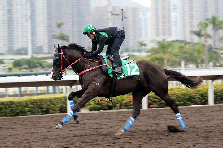 Ruthven trains at Sha Tin in December 2018