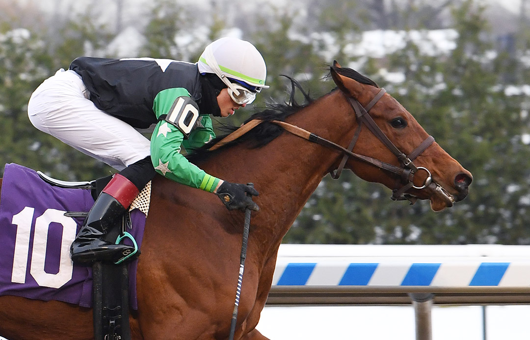 Ruvies in Time wins a December 2020 allowance at Aqueduct Racetrack