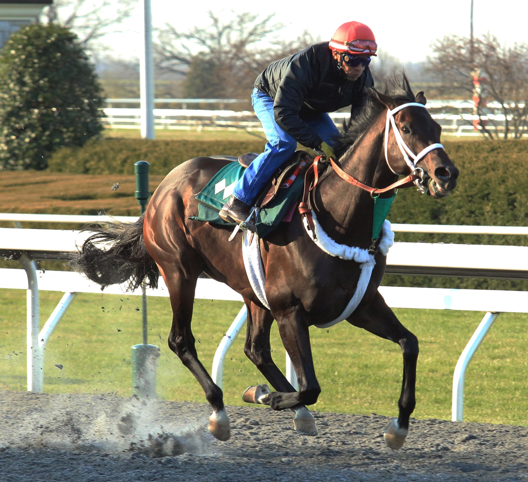 Keeneland: Blue Grass workers out in force
