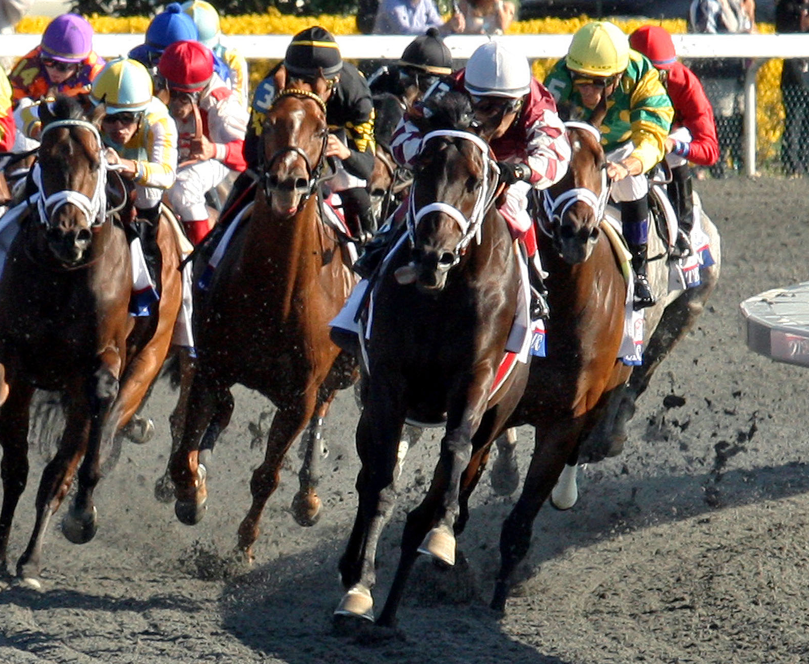 Keeneland: Rydilluc headed back to grass
