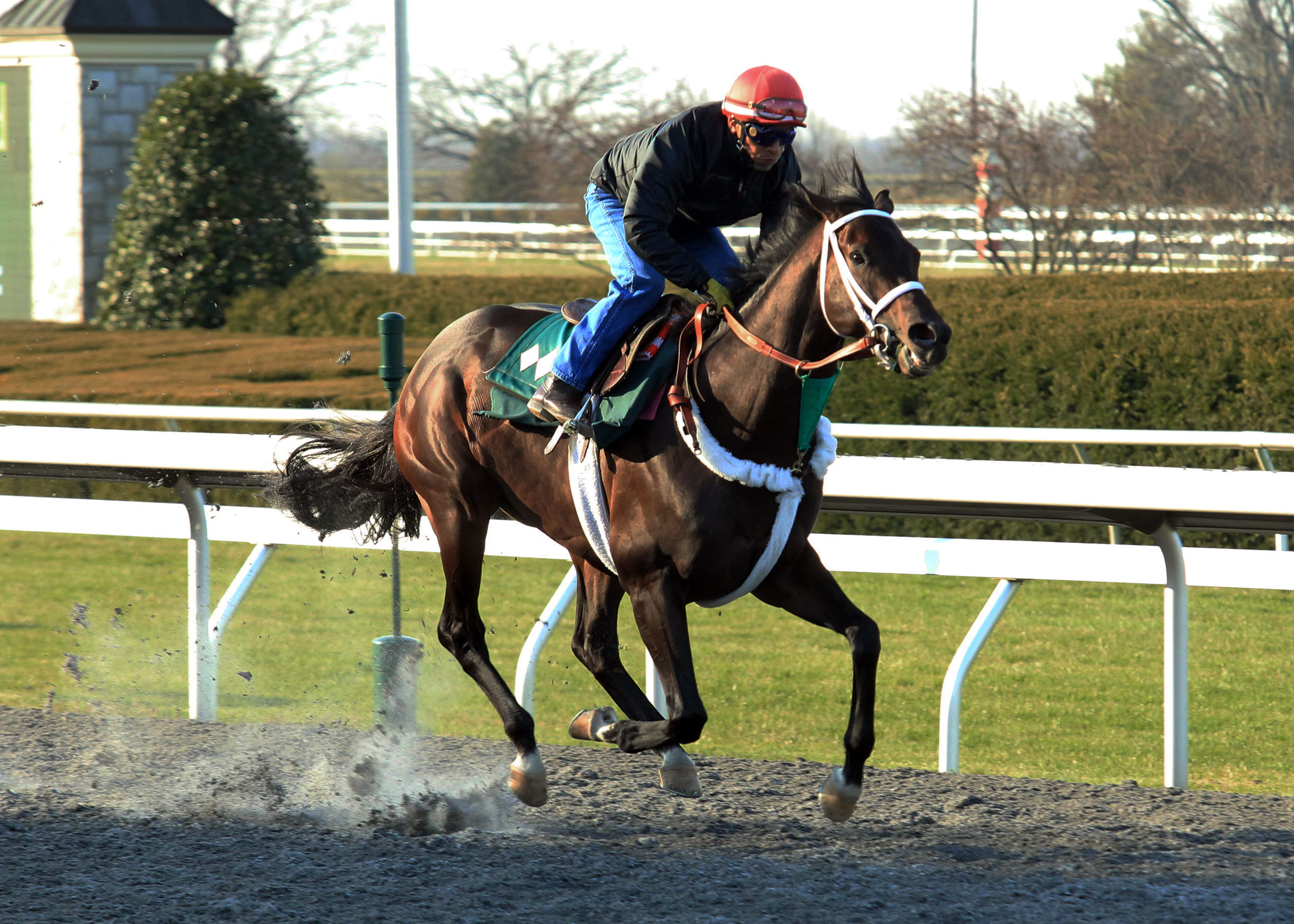 Rydilluc trains at Keeneland