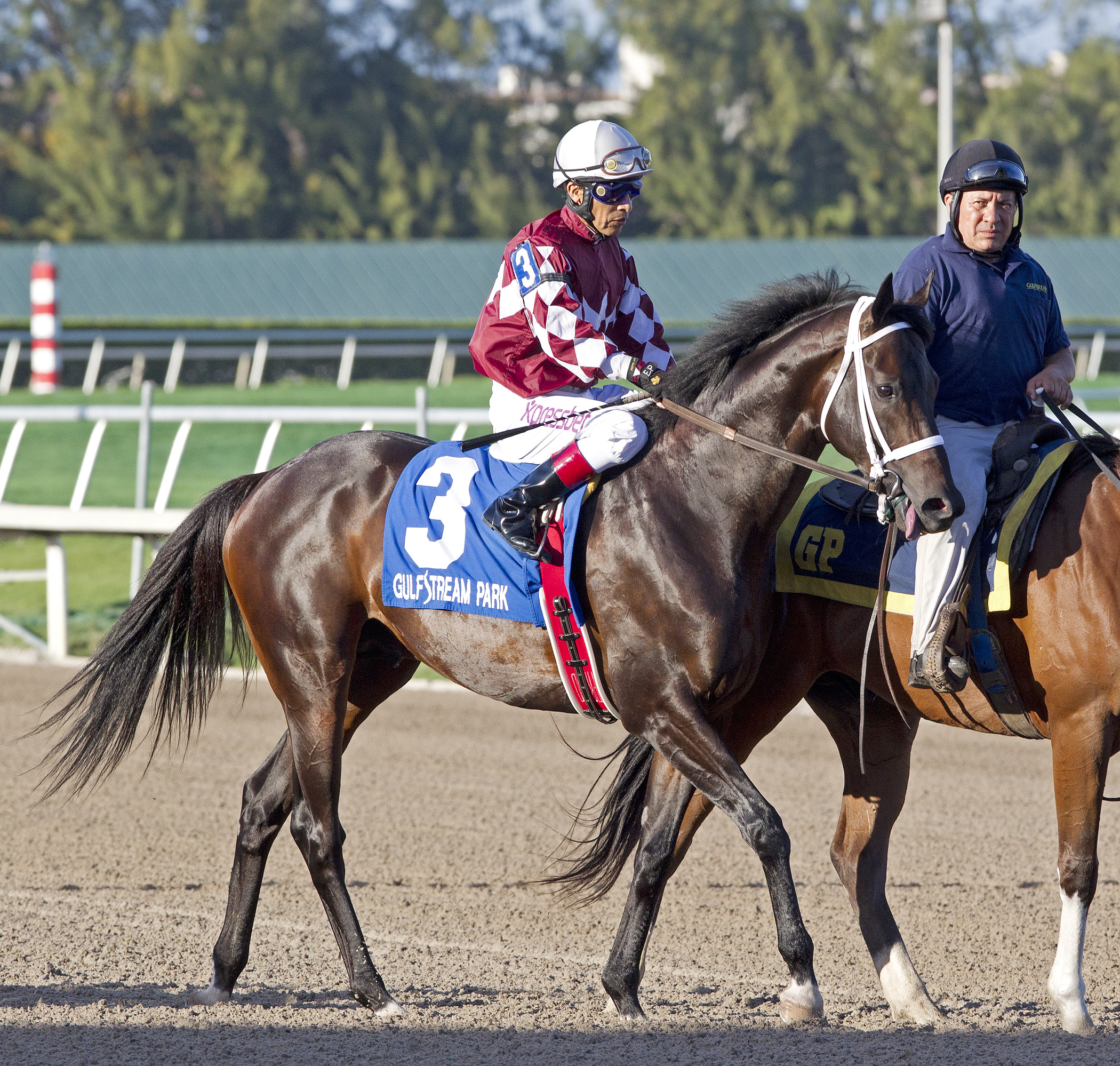 Rydilluc at the Canadian Turf Stakes