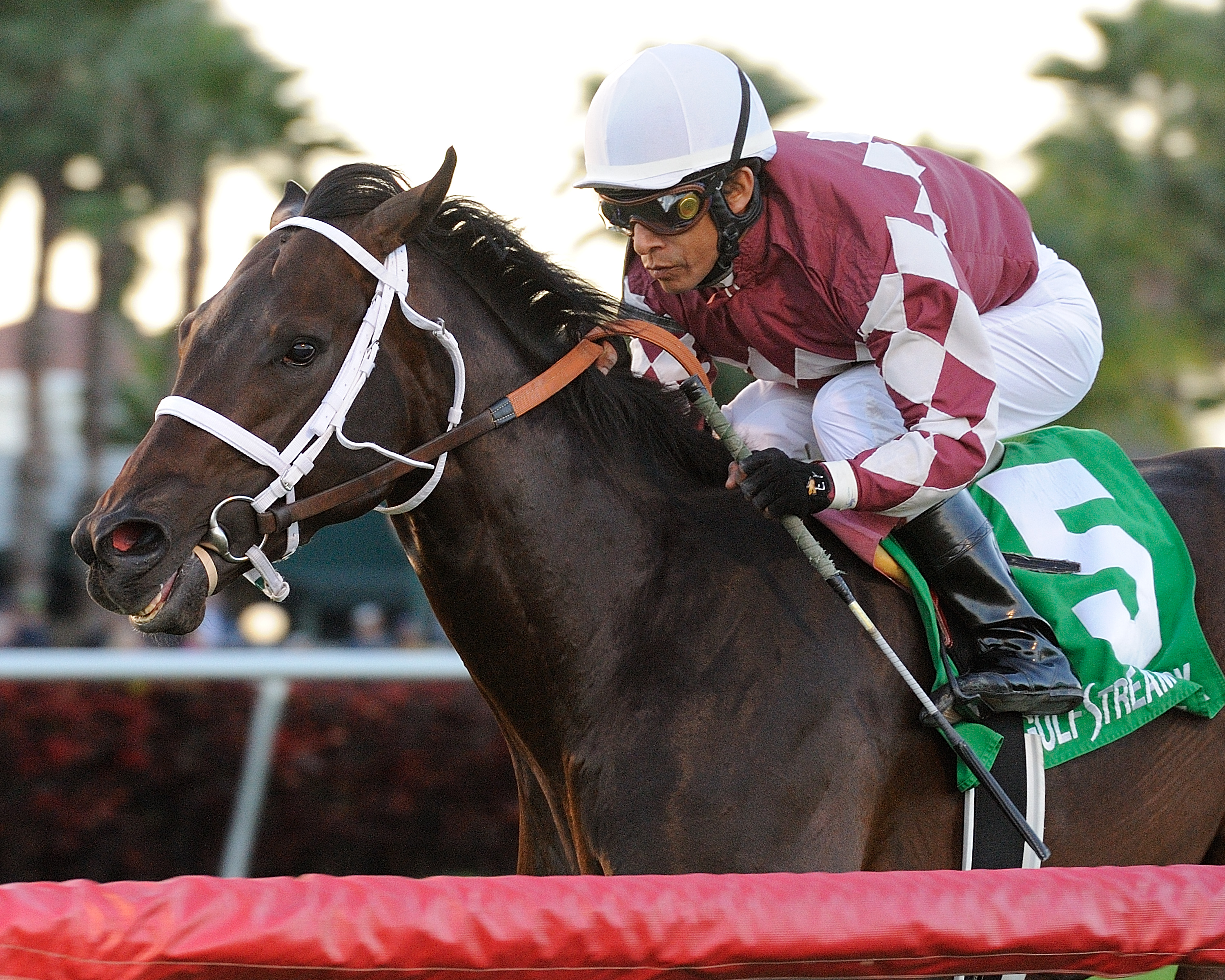Rydilluc, Palm Beach Stakes