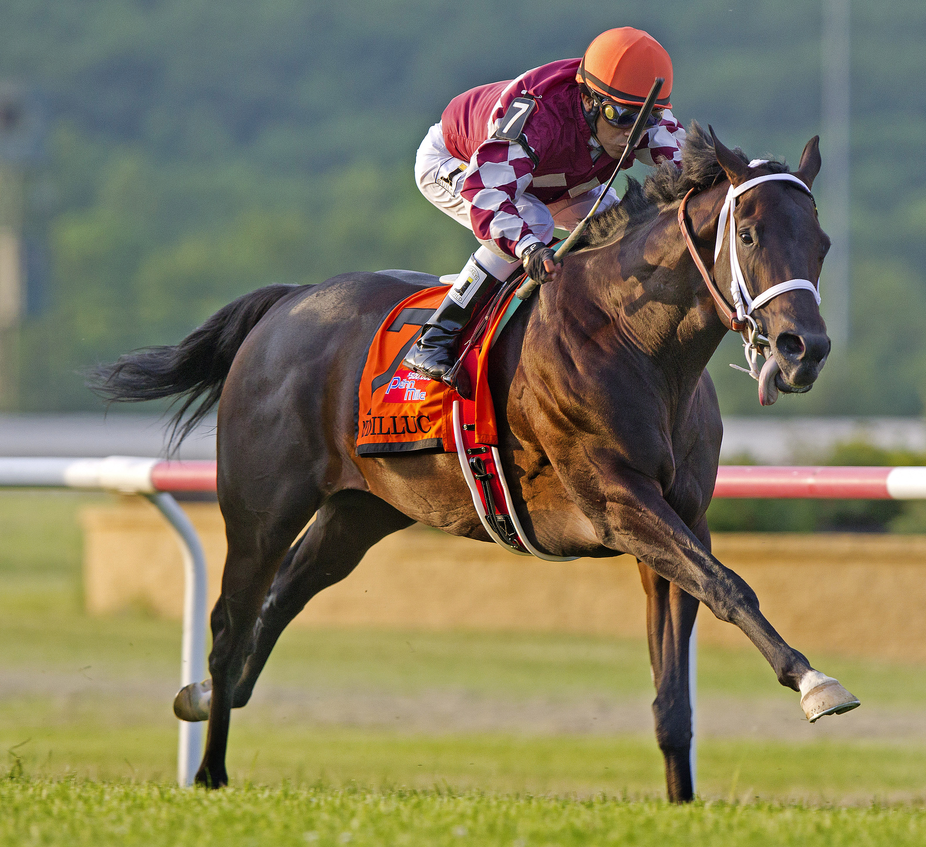 Rydilluc, Penn Mile