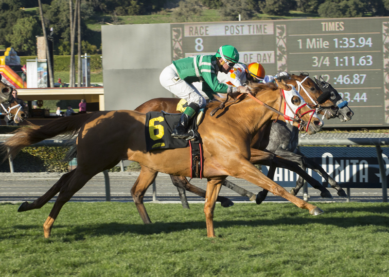 Rye (outside) wins the 2018 Unusual Heat Turf Classic