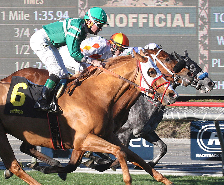 Rye wins the 2018 Unusual Heat Turf Classic