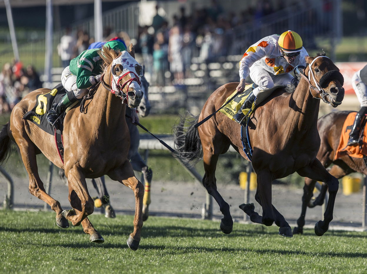 Rye wins the Unusual Heat Turf Classic