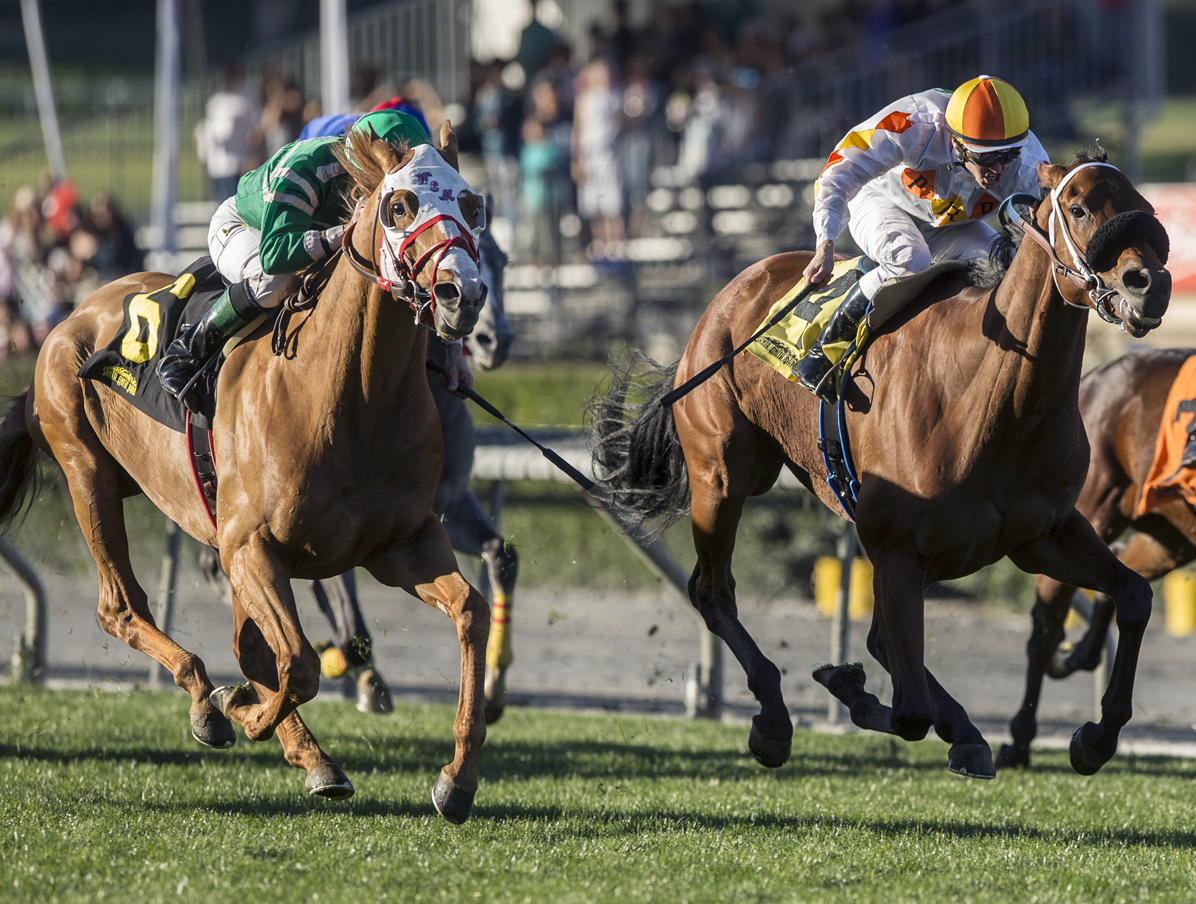 Rye wins the 2018 Unusual Heat Turf Classic