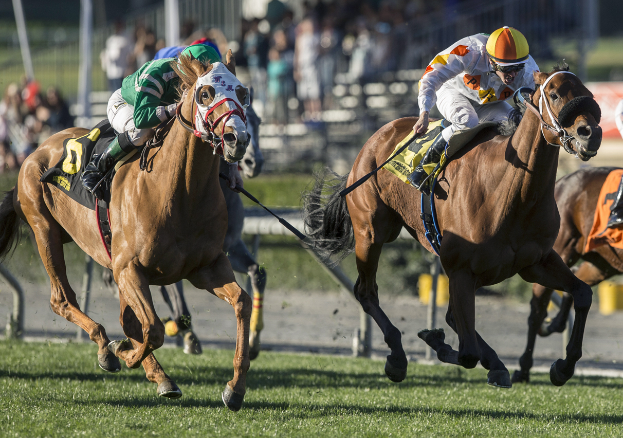 Rye wins the 2018 Unusual Heat Turf Classic