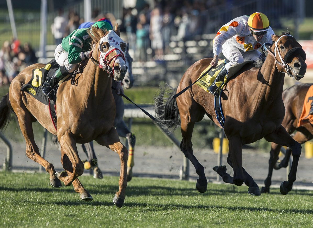 Rye wins the 2018 Unusual Heat Turf Classic