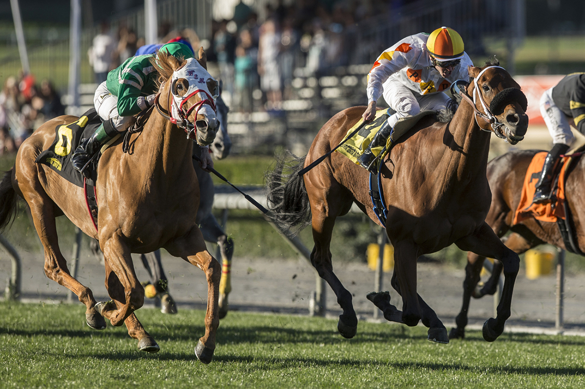 Camino Del Paraiso finishes second in the Unusual Heat Turf Classic