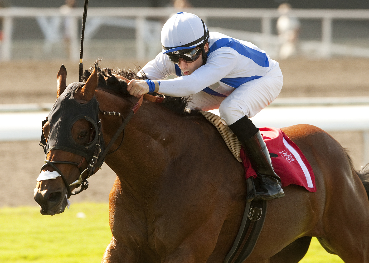Ryehill Dreamer 5-28-2011