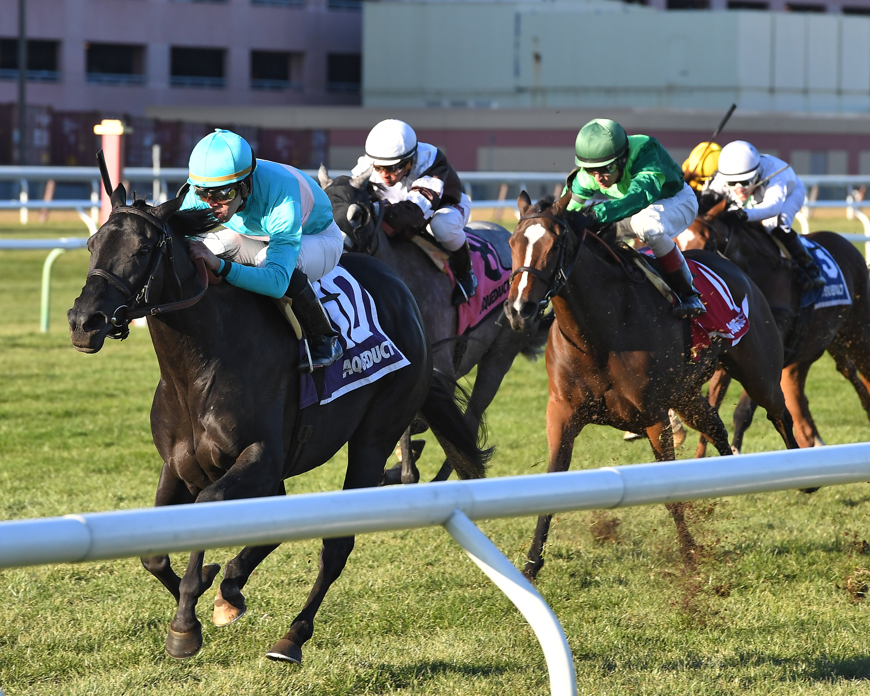 Rymska wins the 2017 Winter Memories Stakes