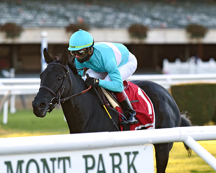 Rymska wins the 2018 Athenia Stakes