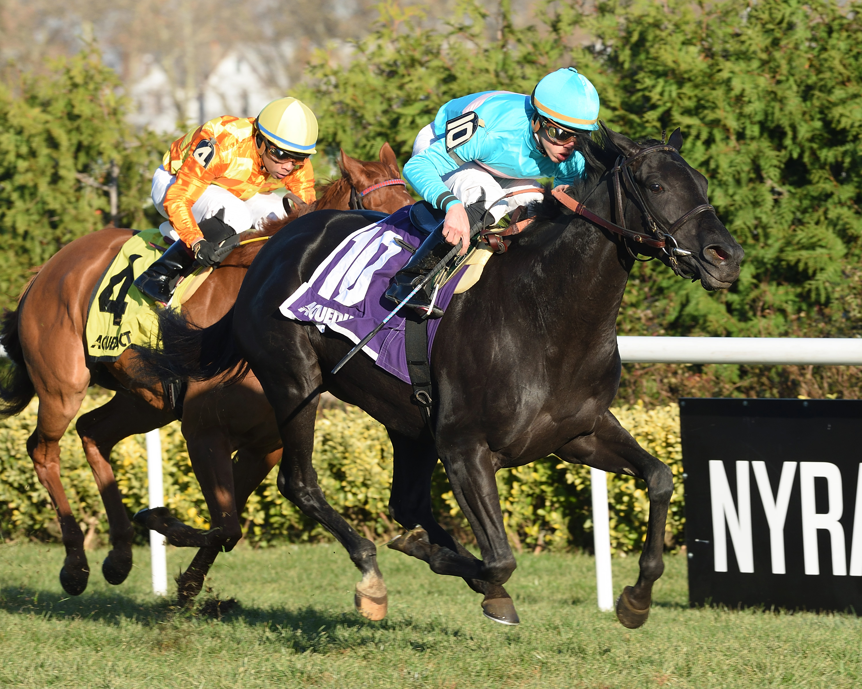 Rymska wins the 2017 Winter Memories Stakes