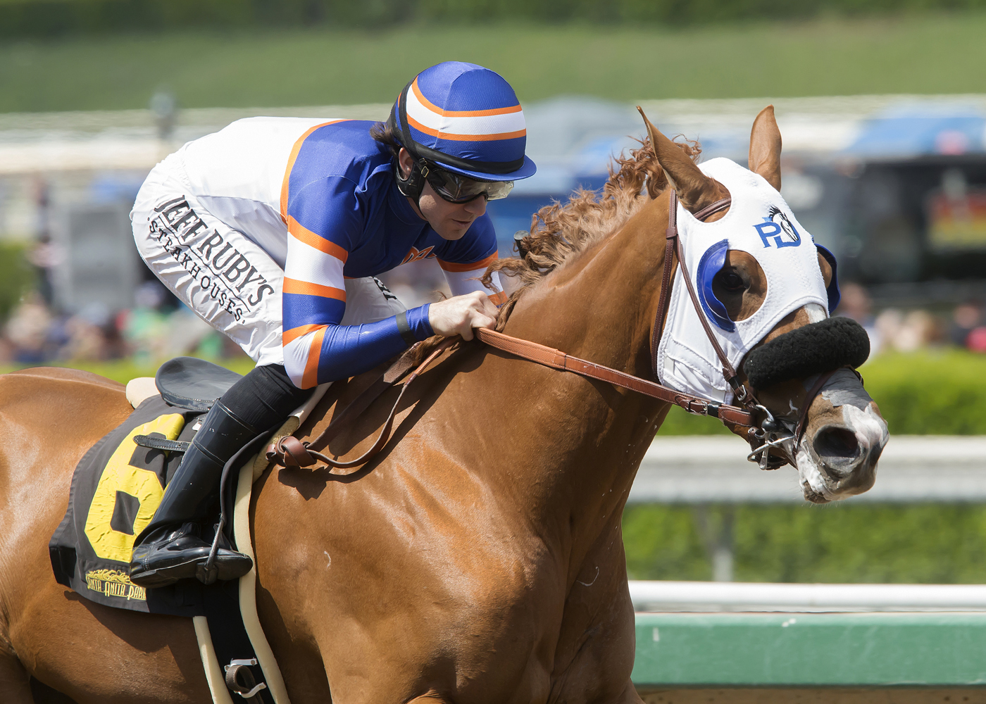 S Y Sky wins the Evening Jewel