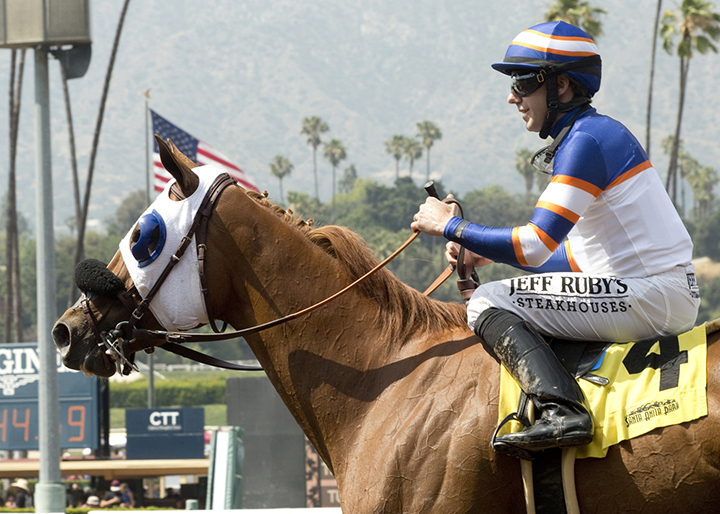 S Y Sky at the 2017 Melair Stakes