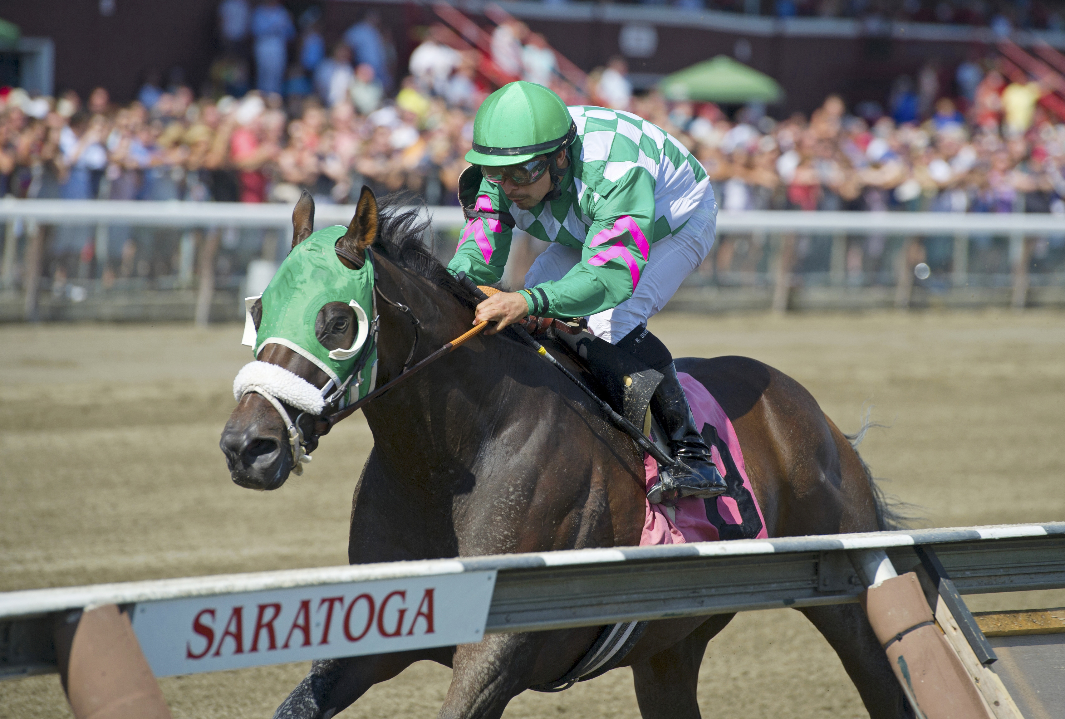 S'Maverlous wins a claiming race