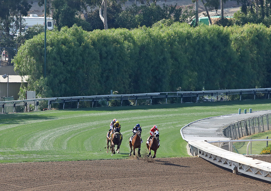 Santa Anita hillside turf course 2021