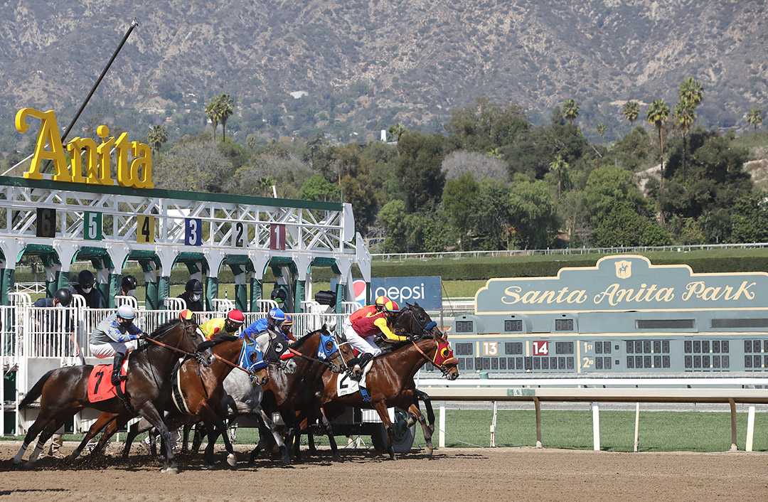Horses break from the gate at Santa Anita Park