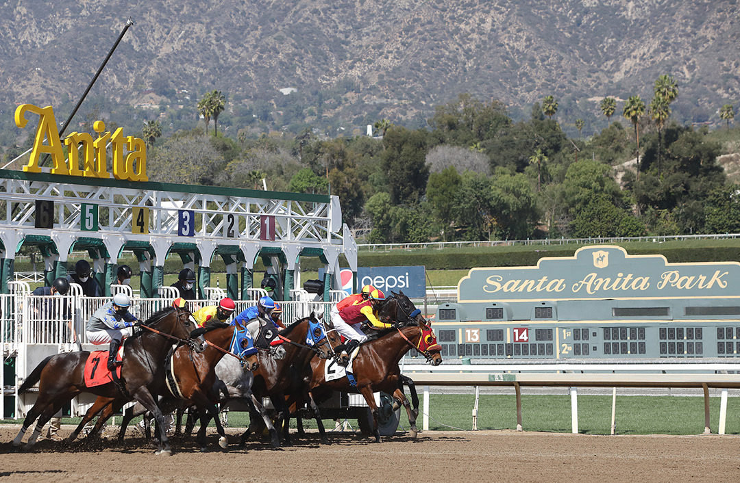 Santa Anita race start, 2021