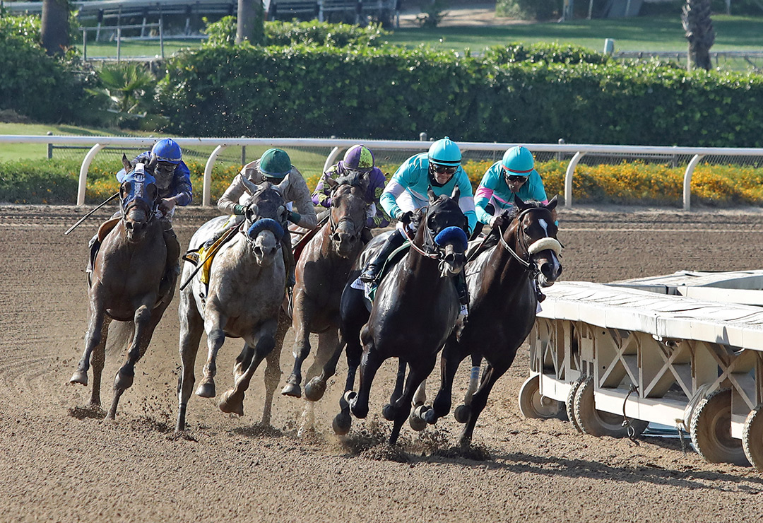 Dirt racing at Santa Anita Park in May 2021