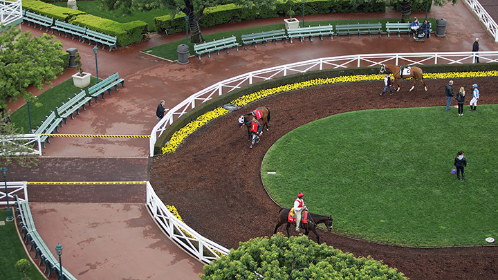 Santa Anita Park paddock, closed to spectators, March 14, 2020