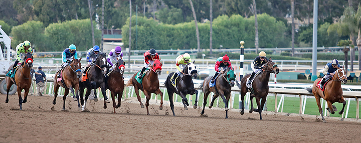 California Cup Derby field at Santa Anita Park