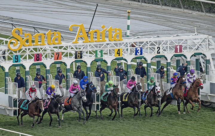 Santa Anita race start