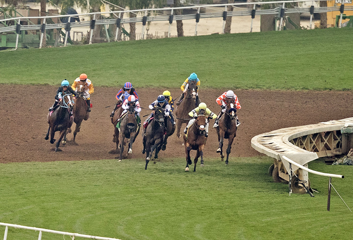 Santa Anita downhill turf course