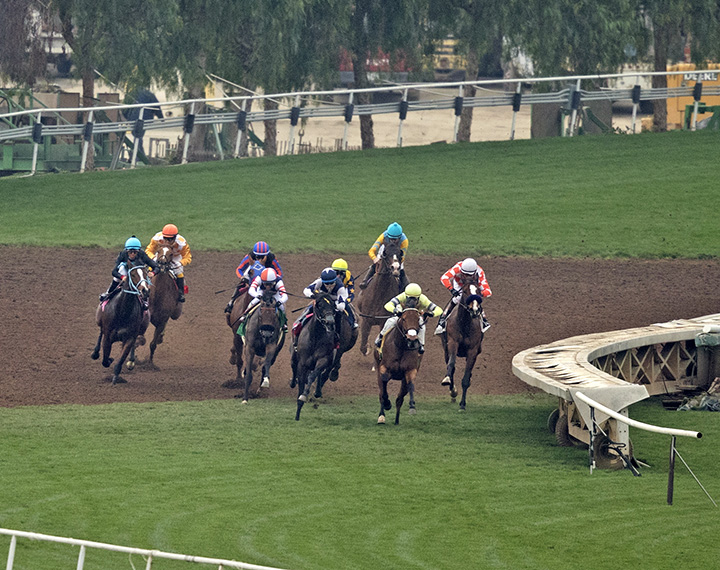 Santa Anita hillside turf course