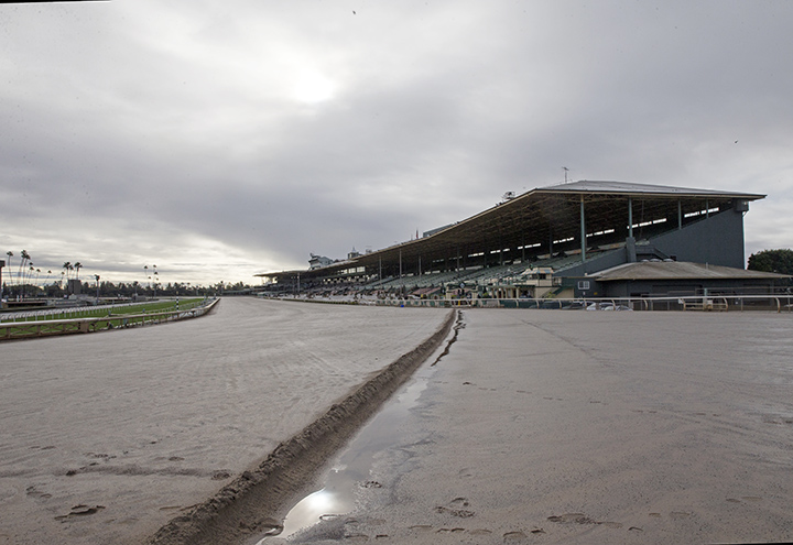 Closed main track at Santa Anita Park