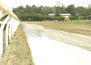 Santa Anita