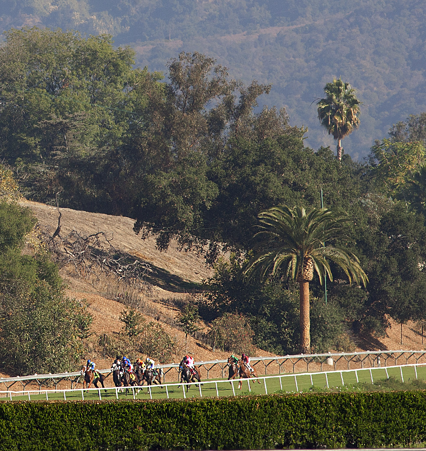 Santa Anita