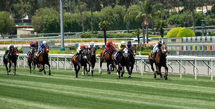 She's So Special wins the first race of Santa Anita's reopening on May 15