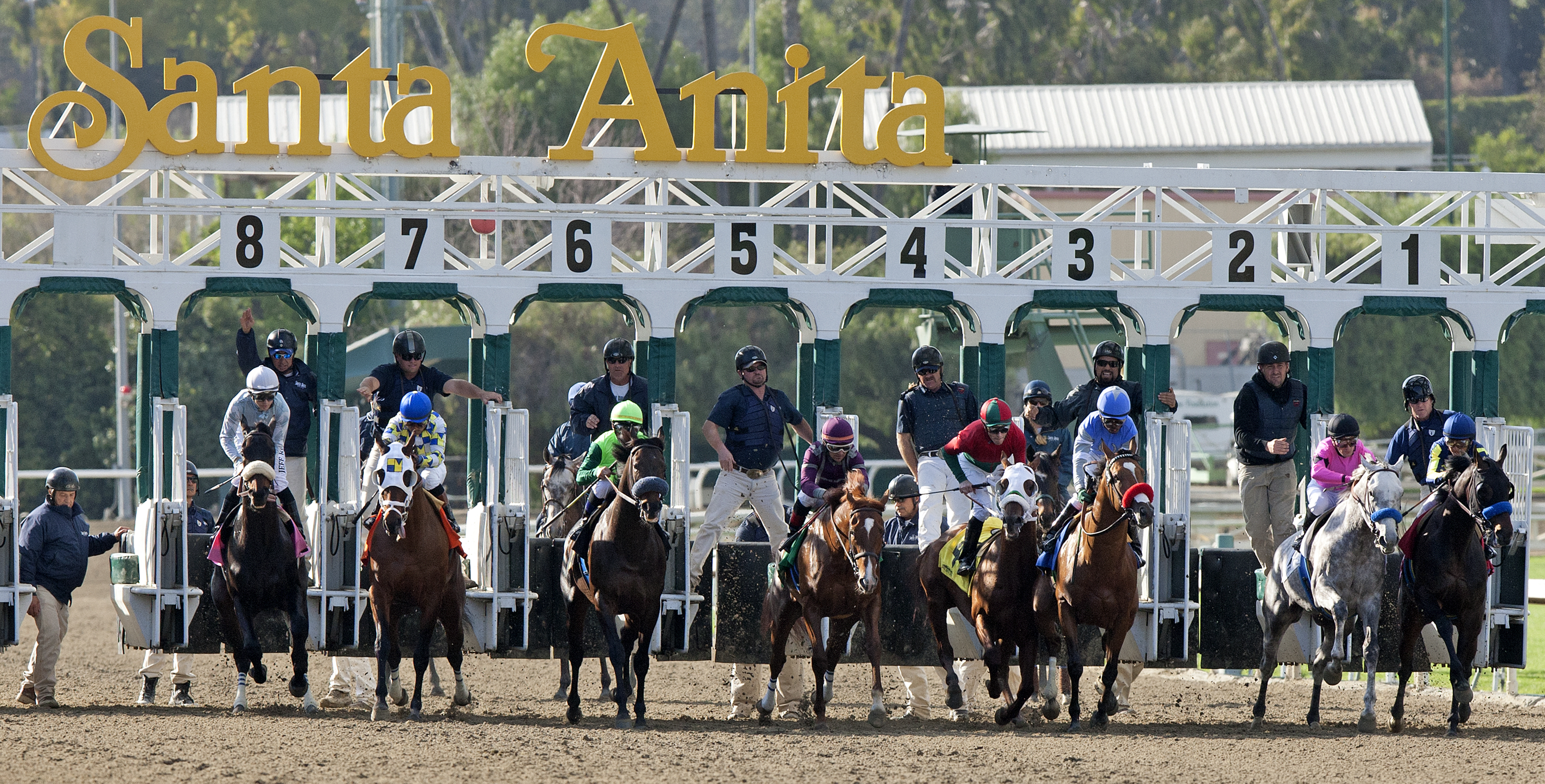 Santa Anita starting gate cropped