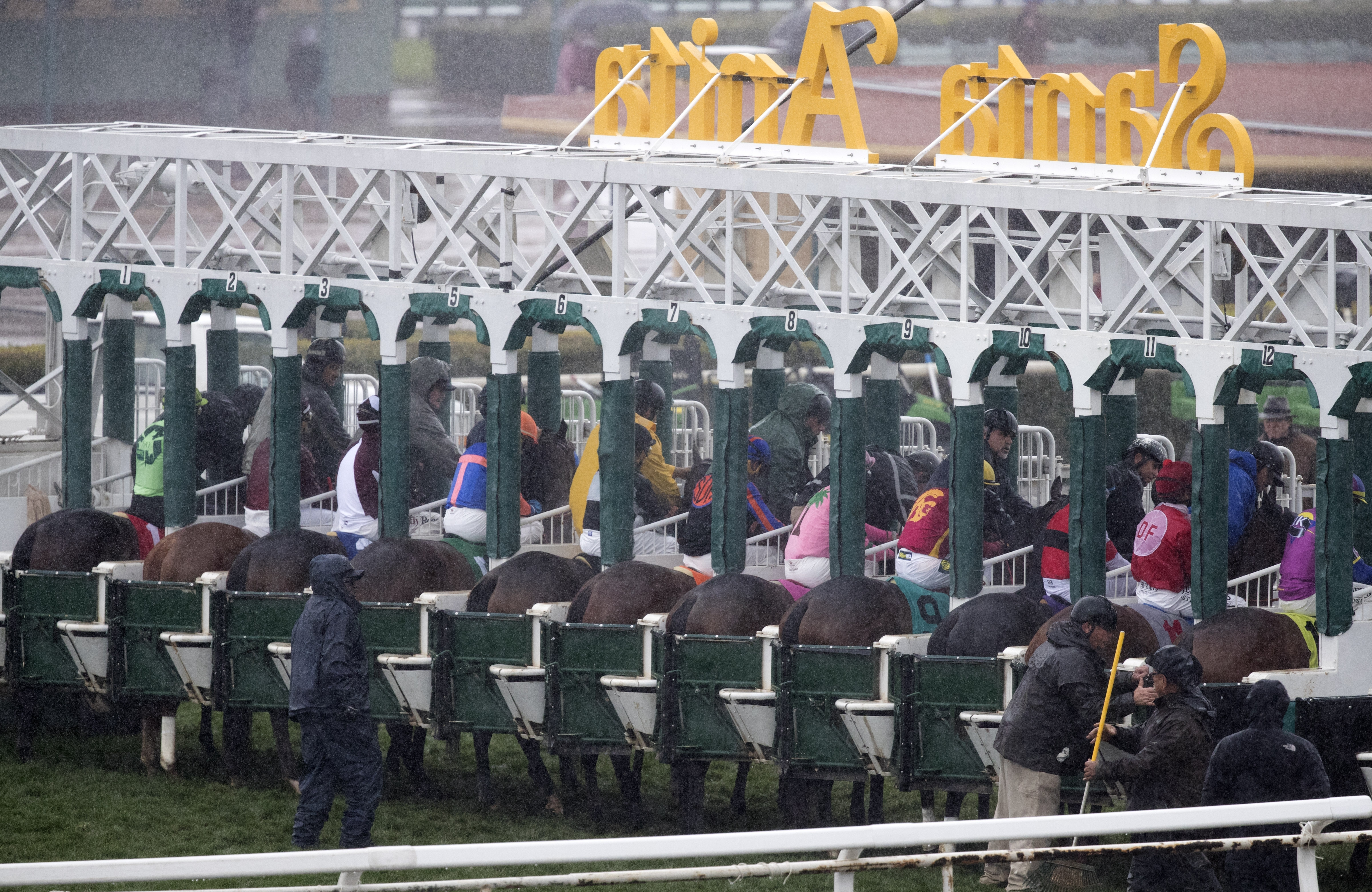 Rear view of Santa Anita starting gate