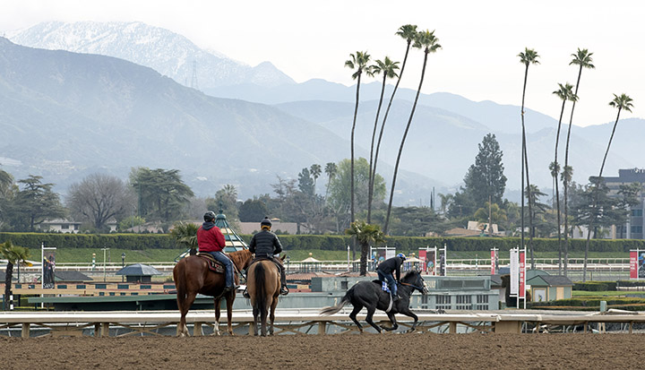 Santa Anita main track training
