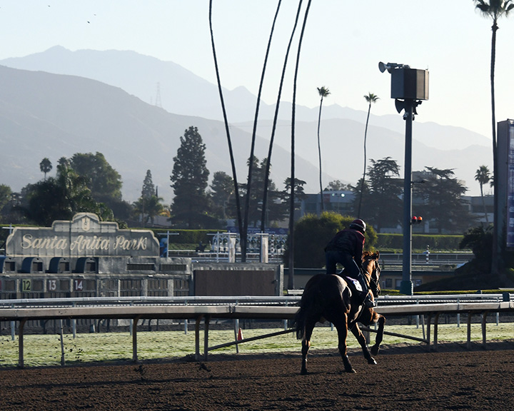 Breeders Cup training at Santa Anita Park